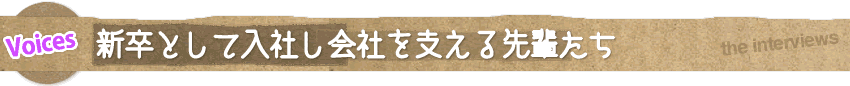 新卒として入社した先輩社員